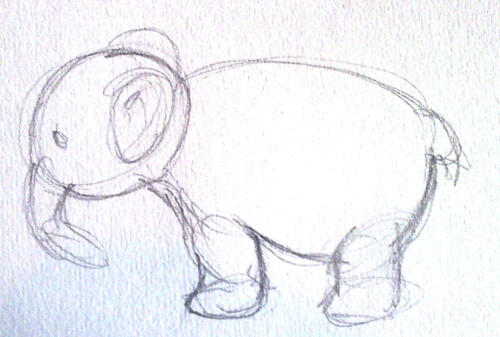 elefant     