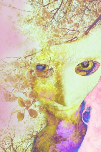 Botanical Entity 3