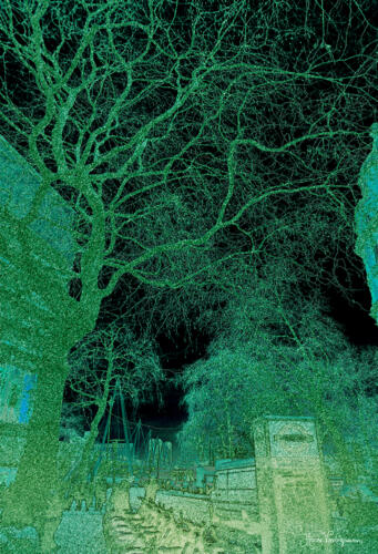 Natures Urban Dialogue     