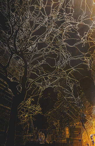 Night Vision