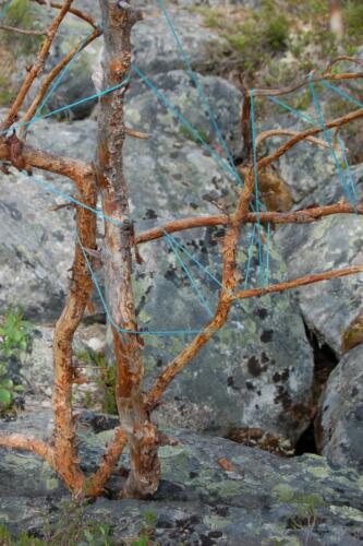Textile Forest Installation 3  