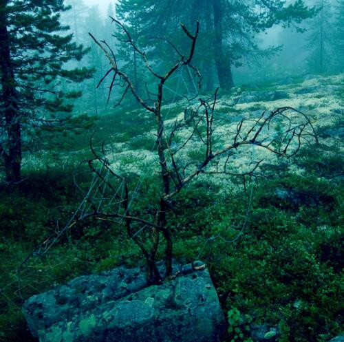 Textile Forest Installation 5  