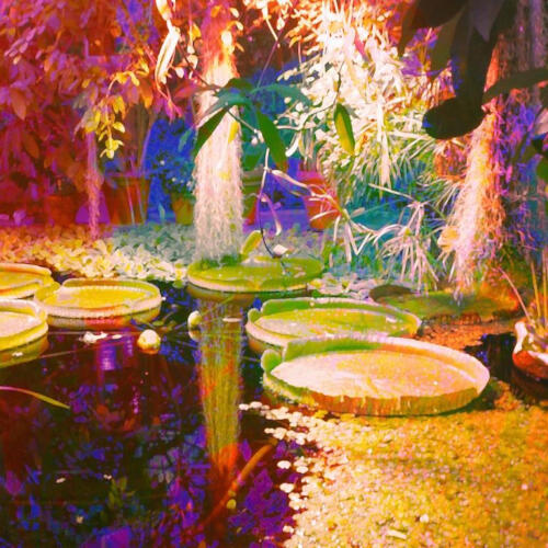 The Magical Garden 