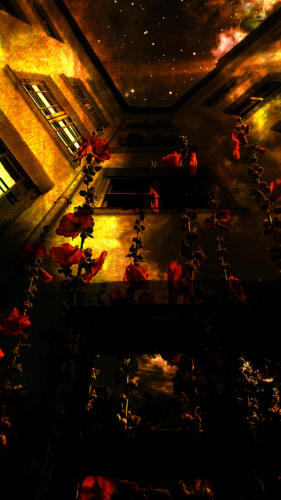 Urban Nature 7    