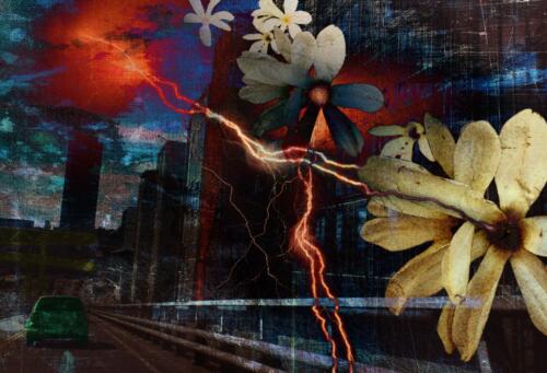 Urban Creation    