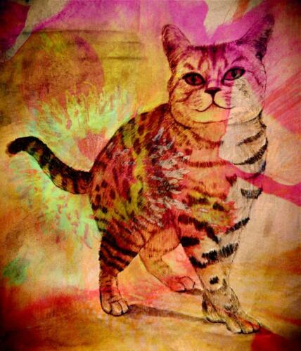 FlowerCat   