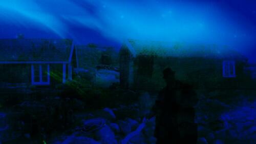 Night wanderers          