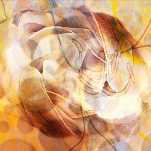 Organic fusion          